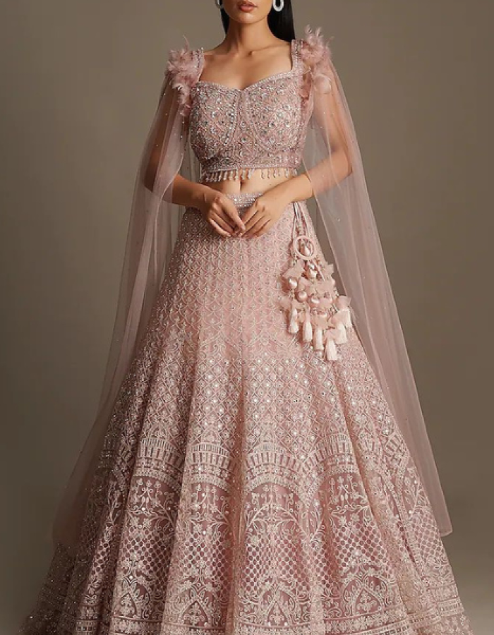 Light Pink Lehenga Choli.